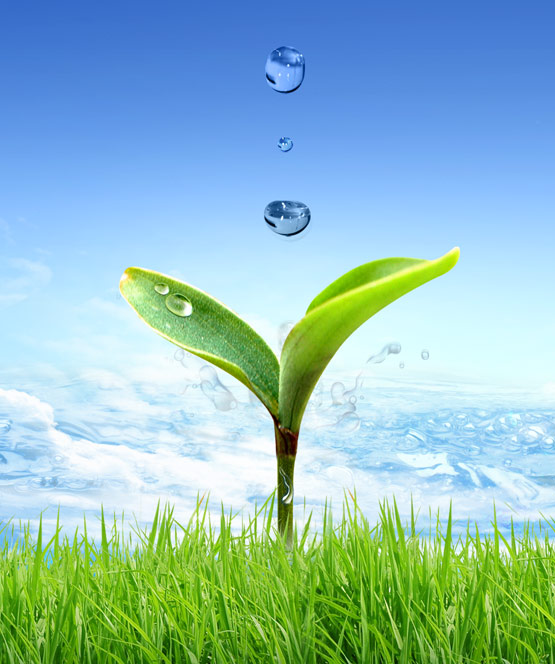 China film new material technology co. LTD.